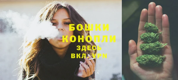 ГАЛЛЮЦИНОГЕННЫЕ ГРИБЫ Арсеньев