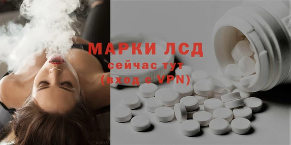 ГАЛЛЮЦИНОГЕННЫЕ ГРИБЫ Арсеньев
