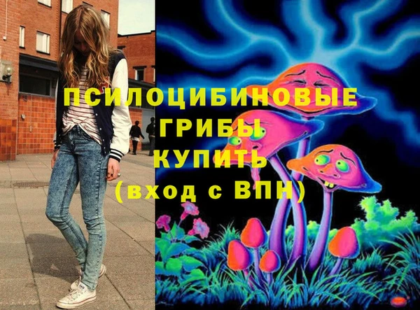 ГАЛЛЮЦИНОГЕННЫЕ ГРИБЫ Арсеньев
