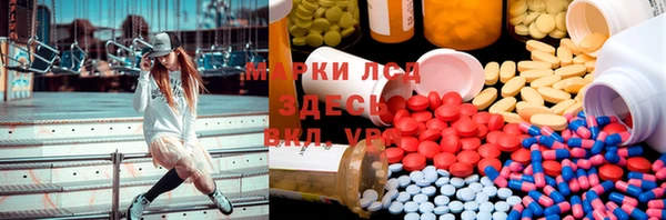 ГАЛЛЮЦИНОГЕННЫЕ ГРИБЫ Арсеньев