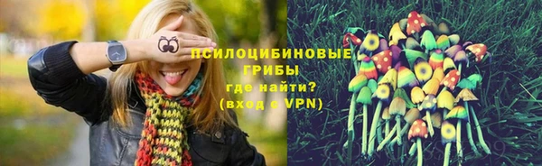 ГАЛЛЮЦИНОГЕННЫЕ ГРИБЫ Арсеньев