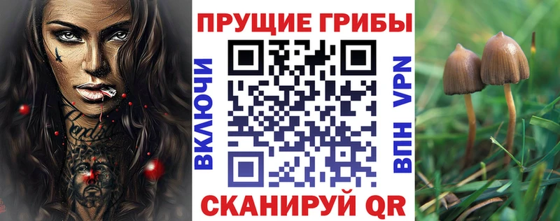 хочу наркоту Тюкалинск Галлюциногенные грибы Psilocybe
